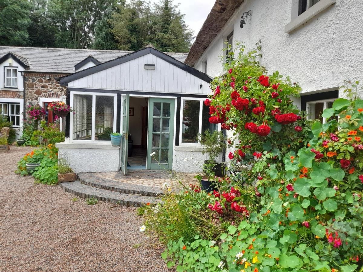 Berwickhall Apartment Craigavon Εξωτερικό φωτογραφία
